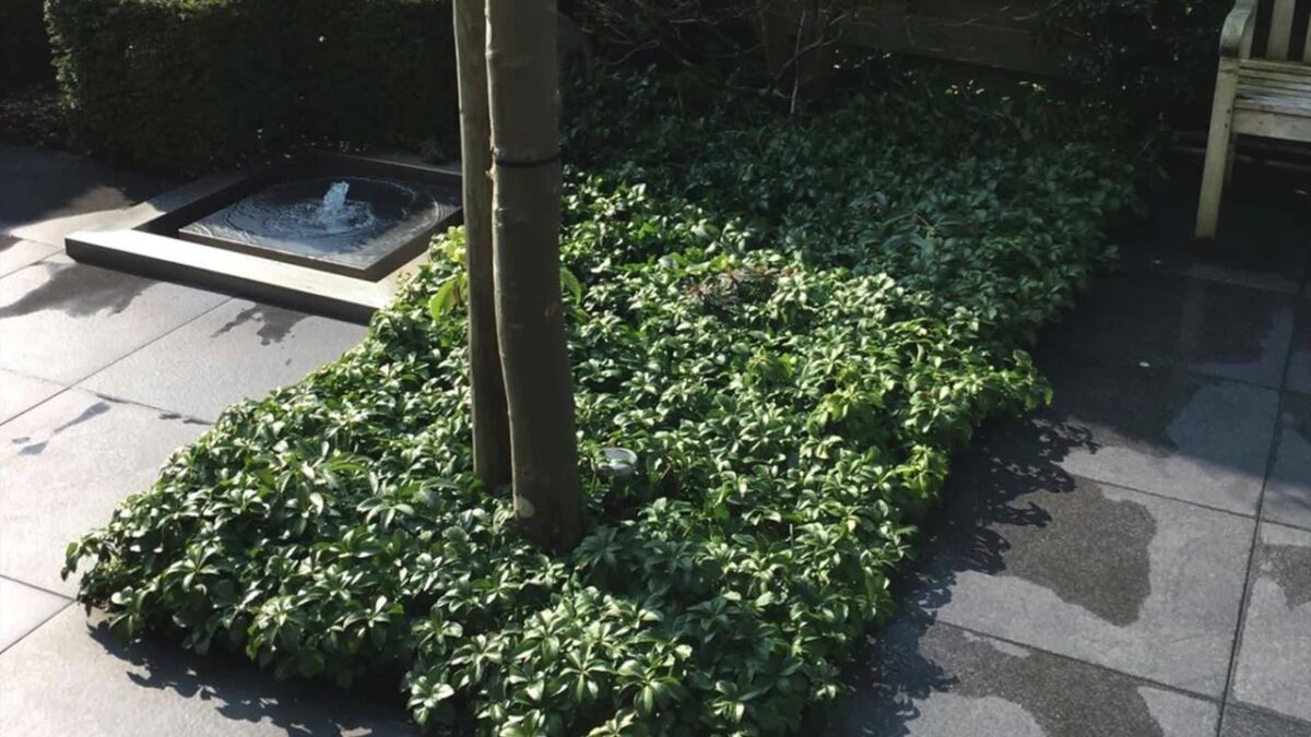 Jos Kruiper Tuinaanleg