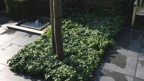 Jos Kruiper Tuinaanleg