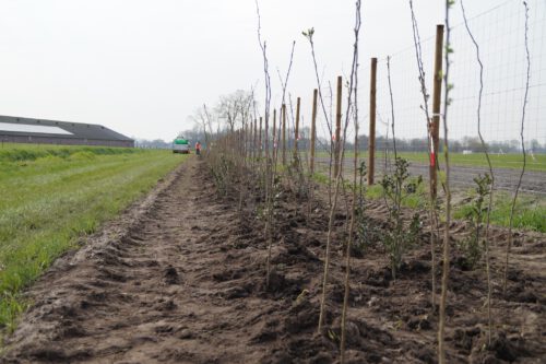 Buitenmeesters - Groene uitvoerders
