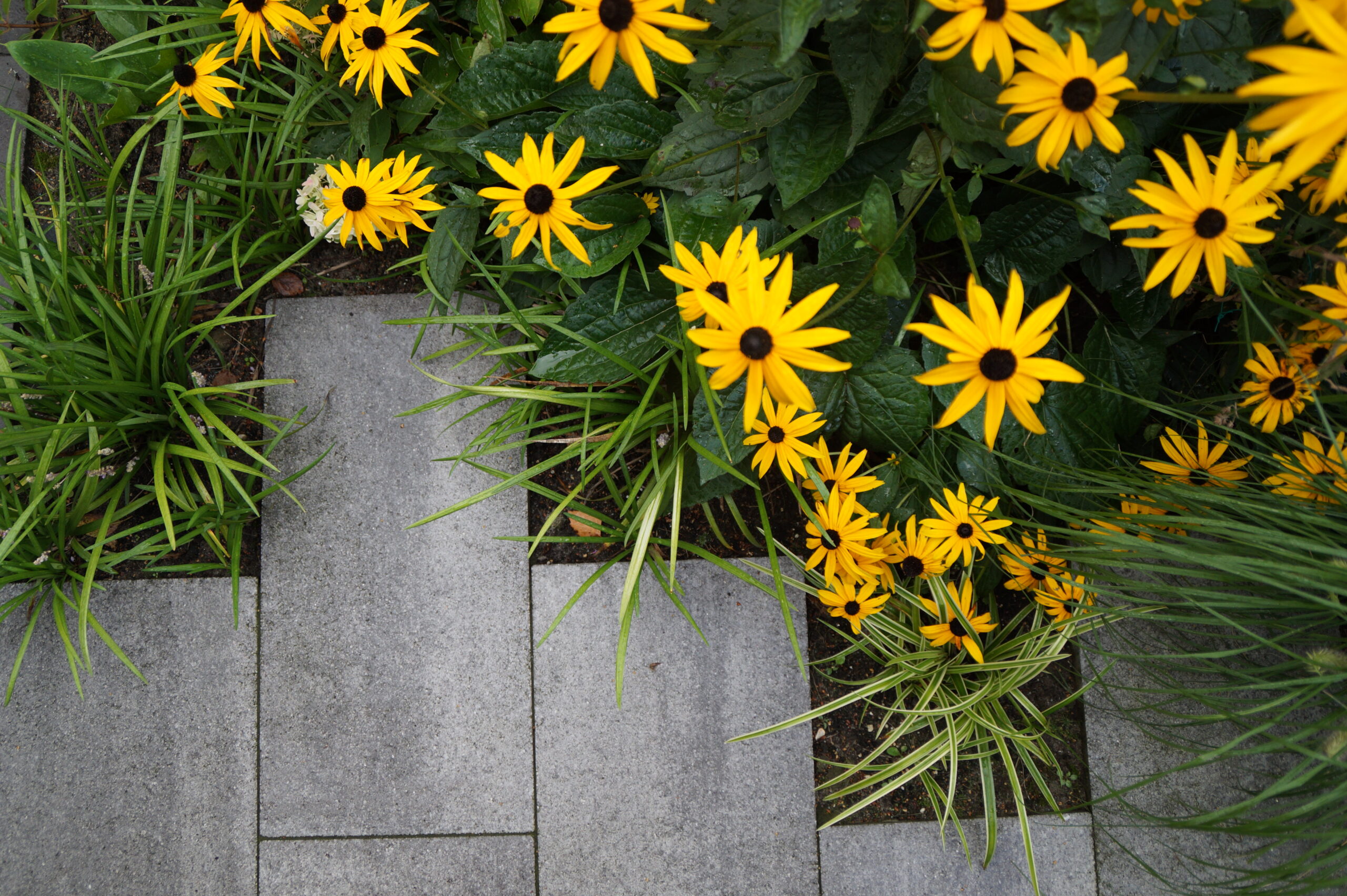 Buitenmeesters - Groene uitvoerders
