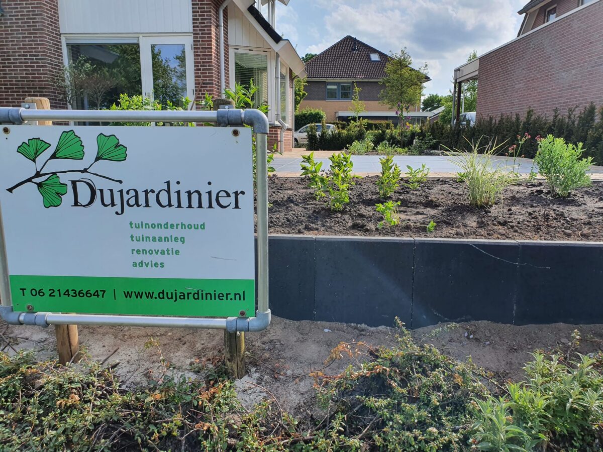 Dujardinier