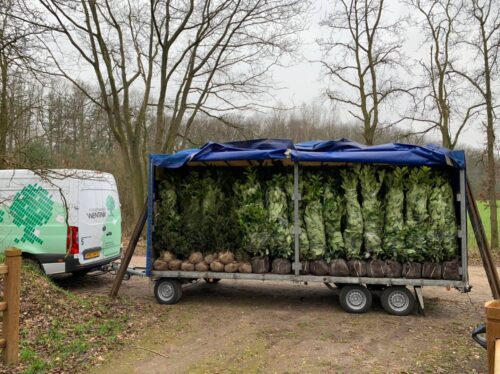 Hoveniersbedrijf Wentink