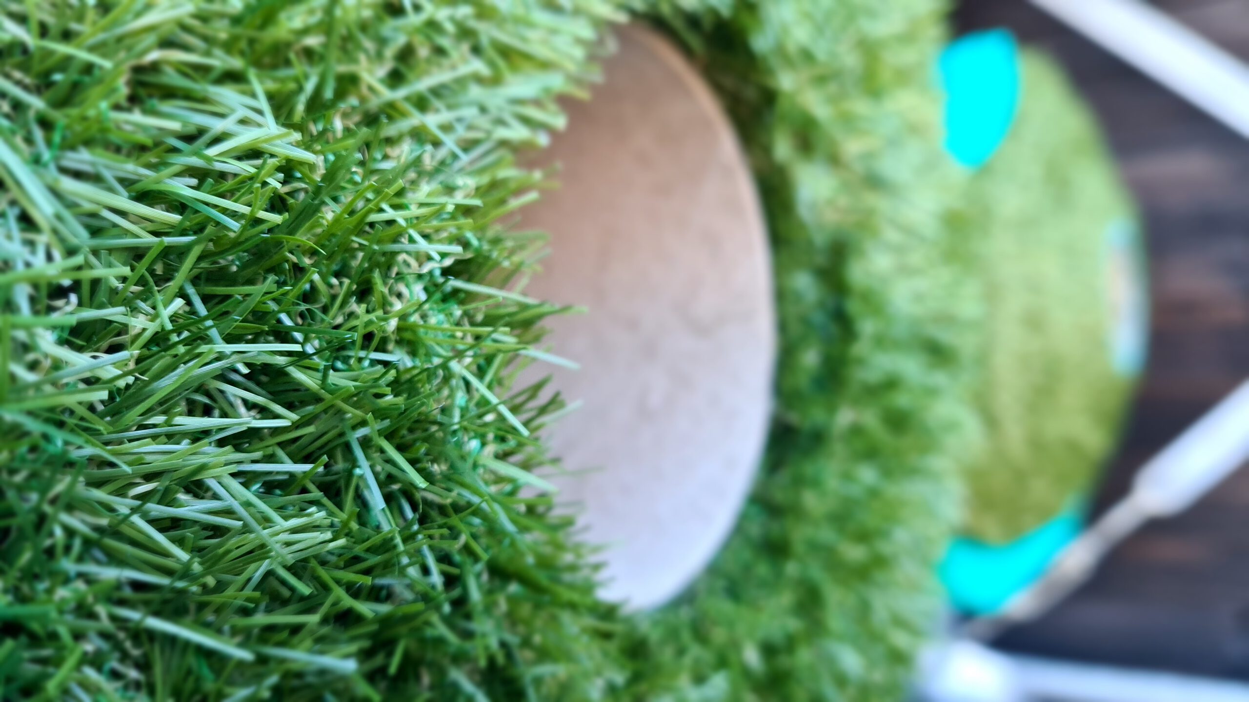 Kunstgras_kopen_Showtuin_heeten