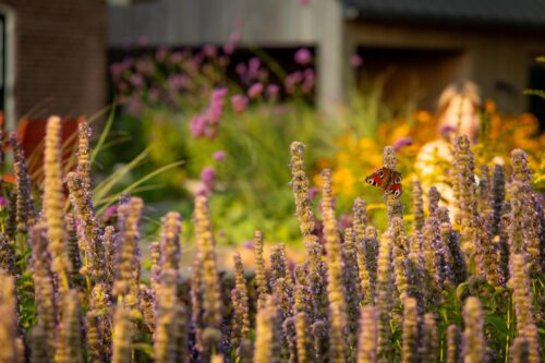 Hoveniersbedrijf Steffens