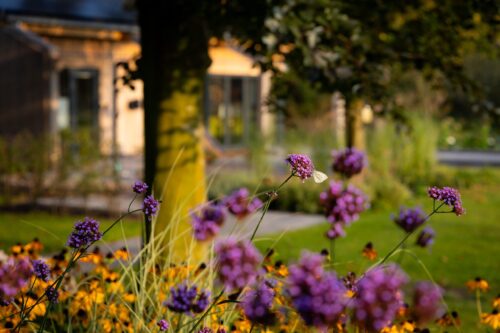 Hoveniersbedrijf Steffens