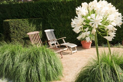 Hoveniersbedrijf Berentschot