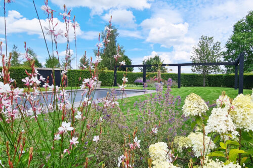 Reggeland Groen - voorbeeld tuin 9