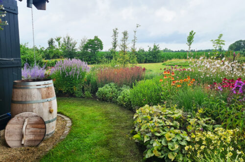 Reggeland Groen - voorbeeld tuin 7