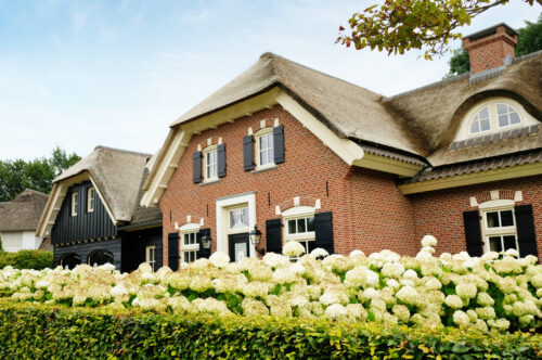 Reggeland Groen - voorbeeld tuin 6