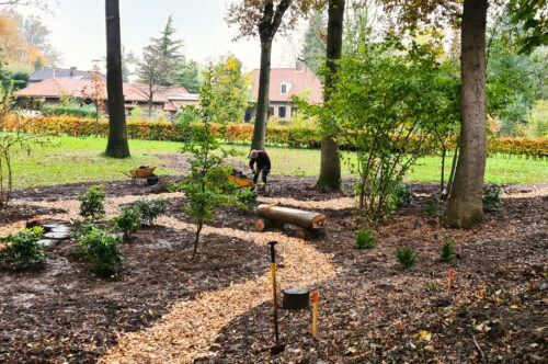 Reggeland Groen - voorbeeld tuin 5