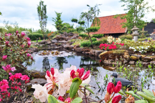 Reggeland Groen - voorbeeld tuin 4