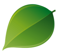 showtuin heeten favicon